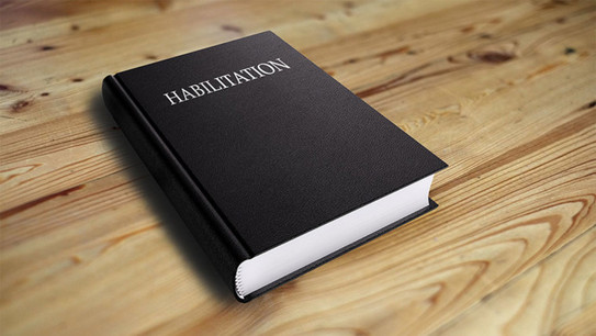 Foto Habilitationschrift Foto dickes Buch mit Aufschrift "Habilitation"