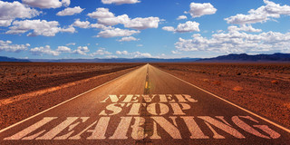 Photo of a jagged road to the horizon in a steppe-like wasteland, on which the text "Never Stop Learning" was written