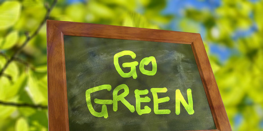 Symbol Bild Go Green Symbol Bilderrahmen mit grünem Schriftzug "Go Green" vor belaubten Ästen im Hintergrund