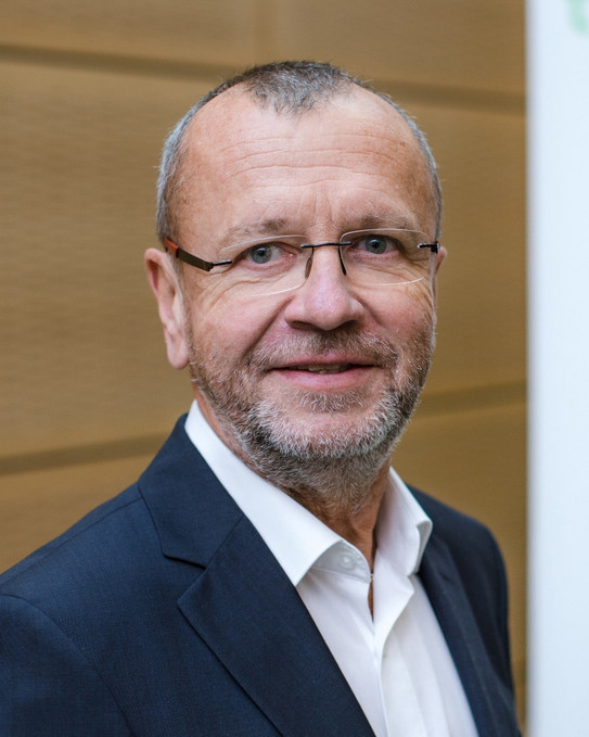 Foto Prof. Dr. Hartmut H. Holzmüller Foto Prof. Dr. Hartmut H. Holzmüller