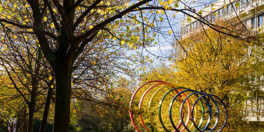 TU Dortmund im Herbst Spektralringe aus Stahl umgeben von Bäumen im Herbst.