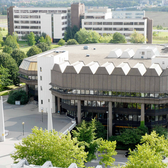 Bibliothek von oben Bibliothek von oben, grüne Bäume