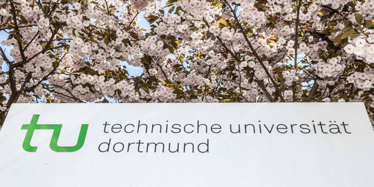 TU im Frühling_05 Eine Informationssäule der TU Dortmund umgeben von blühenden Kirschblüten.