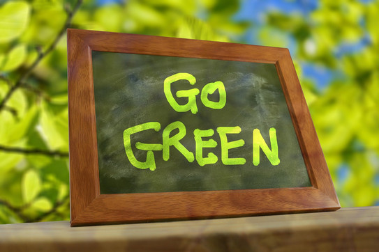 Symbol Bilderrahmen mit grünem Schriftzug "Go Green" vor belaubten Ästen im Hintergrund