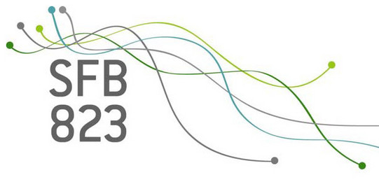 Logo Collaborative Research Center SFB823